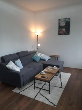 Apartmán Amálie Albrechtice U Českého Těšína